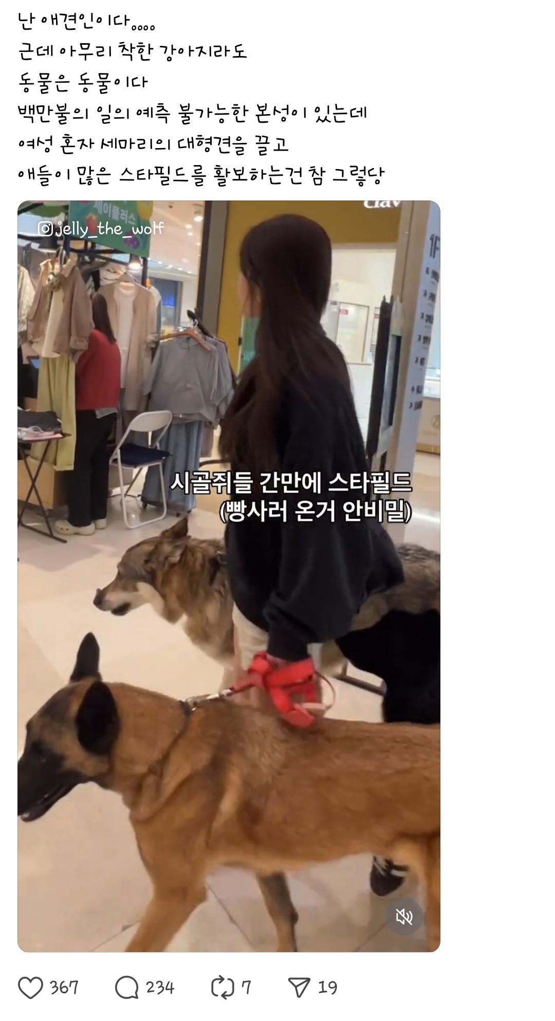 스타필드에서 입마개 안하고 맹견 산책시키던 주인 근황.jpg | 인스티즈