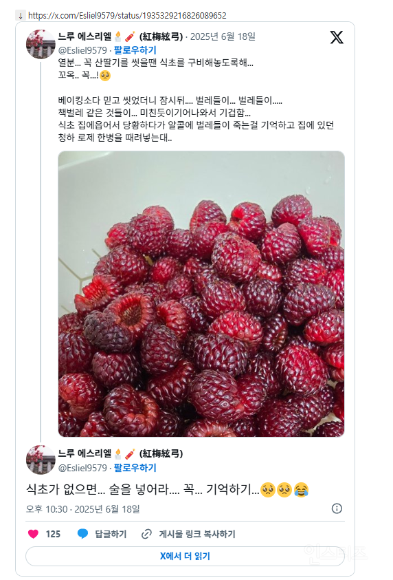 열분... 꼭 산딸기를 씻을땐 식초를 구비해놓도록해... 꼬옥.. 꼭...!