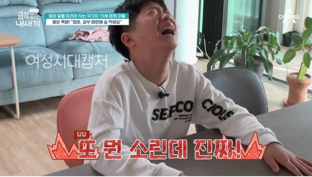 6개월만에 변해버렸다는 금쪽이가 바라던 엄마와의 대화시간이 왔는데 | 인스티즈