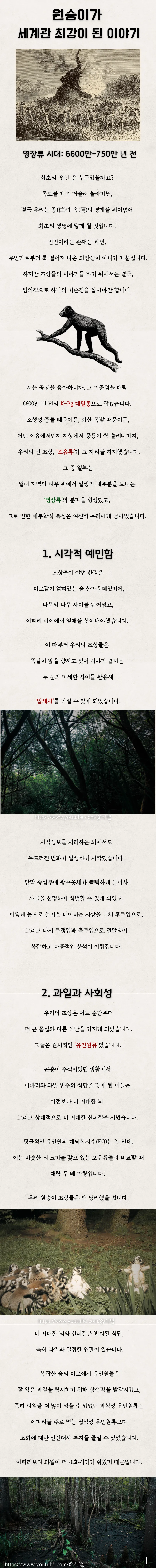 원숭이가 세계관 최강이 된 이야기