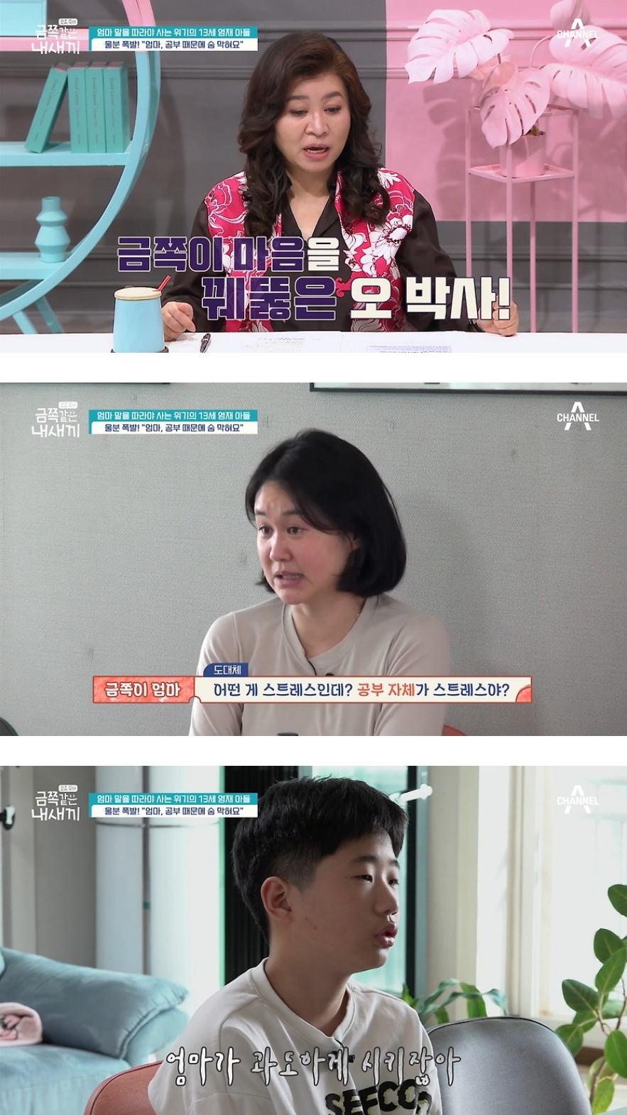 6개월만에 변해버렸다는 금쪽이가 바라던 엄마와의 대화시간이 왔는데 | 인스티즈