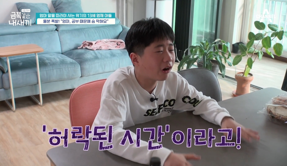 6개월만에 변해버렸다는 금쪽이가 바라던 엄마와의 대화시간이 왔는데 | 인스티즈