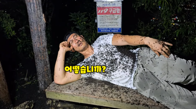 인천 러브버그 상황과 러브버거 (징그러움 주의) | 인스티즈