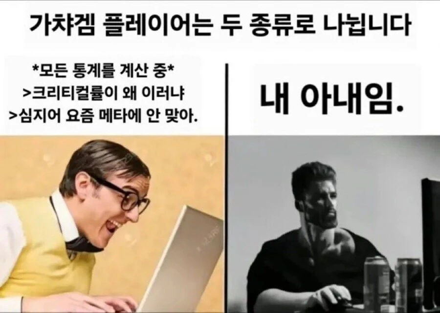 게임할 때 나뉘는 두 부류.jpg